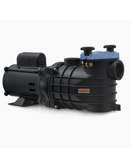 Motobombas Serie EKO Schneider